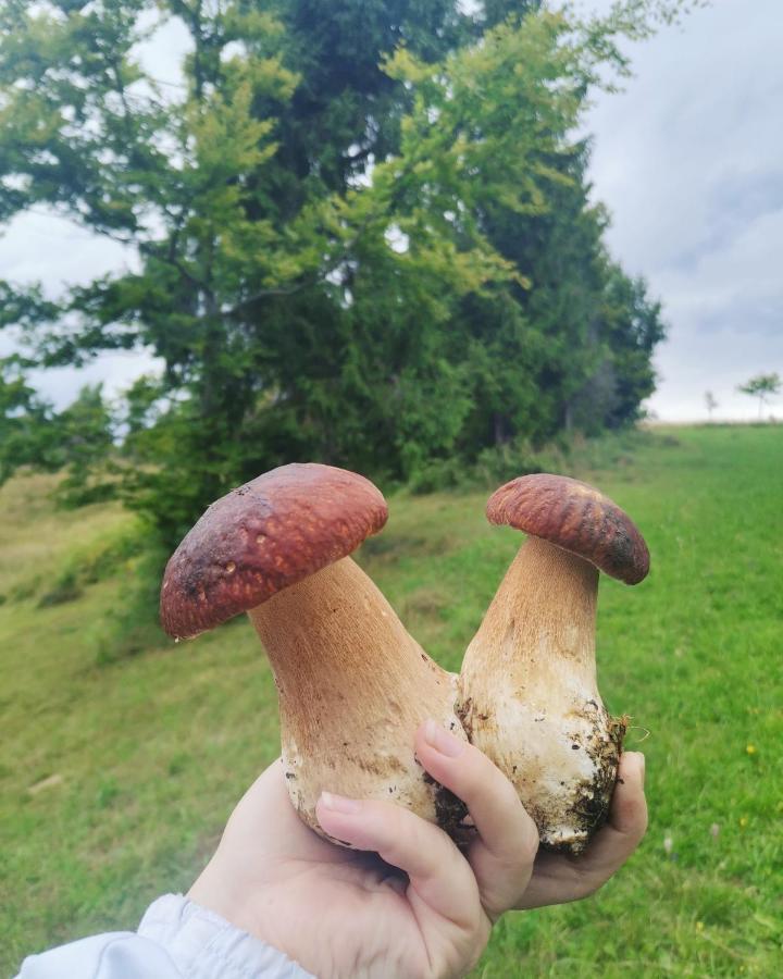Біла Хижа Verkhne-Studenyy Exteriör bild