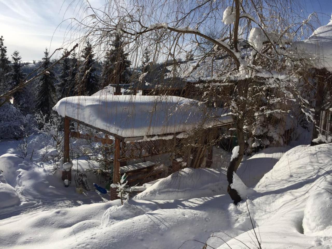 Біла Хижа Verkhne-Studenyy Exteriör bild